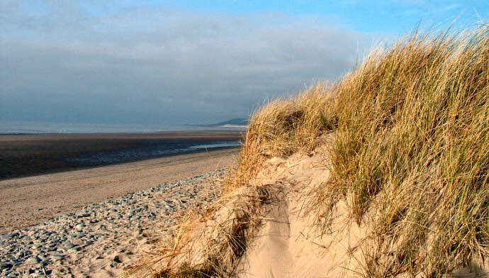 Ynyslas Nature Reserve and Sand Dunes